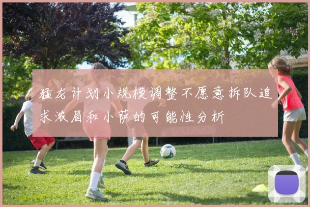 猛龙计划小规模调整不愿意拆队追求浓眉和小萨的可能性分析